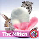 The Mitten (Novel Study)