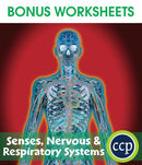 Senses, Nervous & Respiratory Systems - BONUS WORKSHEETS