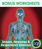 Senses, Nervous & Respiratory Systems - BONUS WORKSHEETS