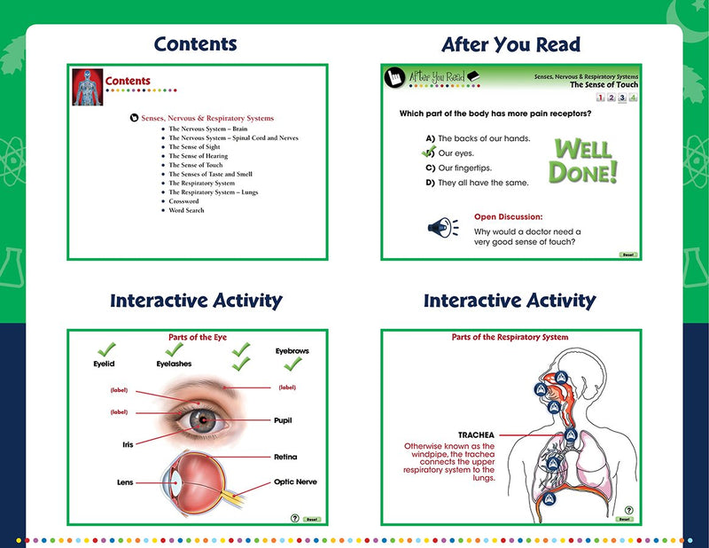 Senses, Nervous & Respiratory Systems - Digital Lesson Plan