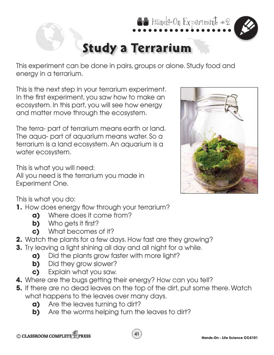 Life Science: Build and Study a Terrarium - WORKSHEET – CLASSROOM ...