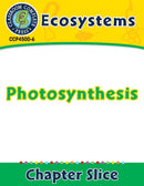 Ecosystems: Photosynthesis