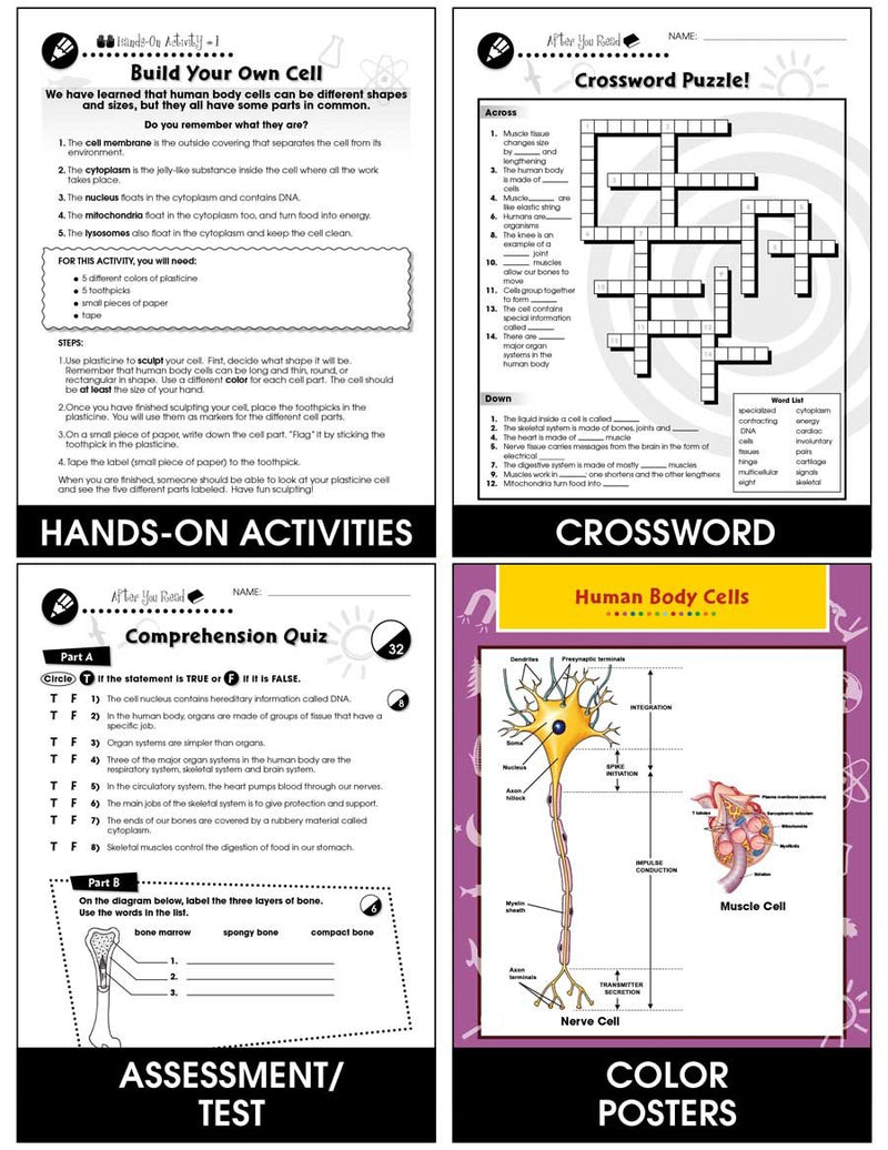 Cells, Skeletal & Muscular Systems: Cells - The Building Blocks of Life Gr. 5-8