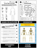 Cells, Skeletal & Muscular Systems: The Muscular System - Movement Gr. 5-8