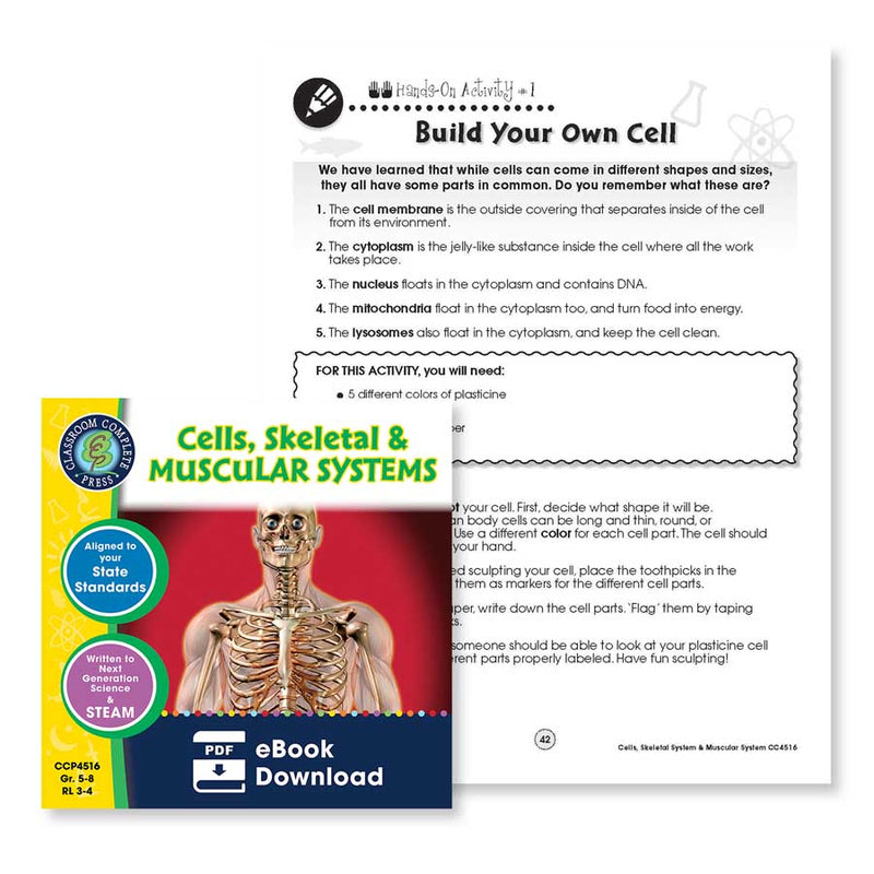 Cells, Skeletal & Muscular Systems: Build Your Own Cell Hands-On Activity - WORKSHEET