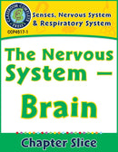 Senses, Nervous & Respiratory Systems: The Nervous System - Brain Gr. 5-8