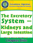 Circulatory, Digestive & Reproductive Systems: Kidneys & Large Intestine Gr. 5-8