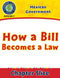 Mexican Government: How a Bill Becomes a Law Gr. 5-8