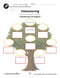 Employment & Volunteering: Volunteering Tree Diagram - WORKSHEET