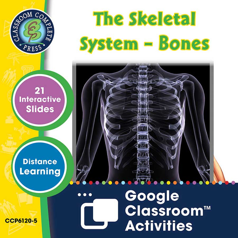 Cells, Skeletal & Muscular Systems: The Skeletal System – Bones - Google Slides