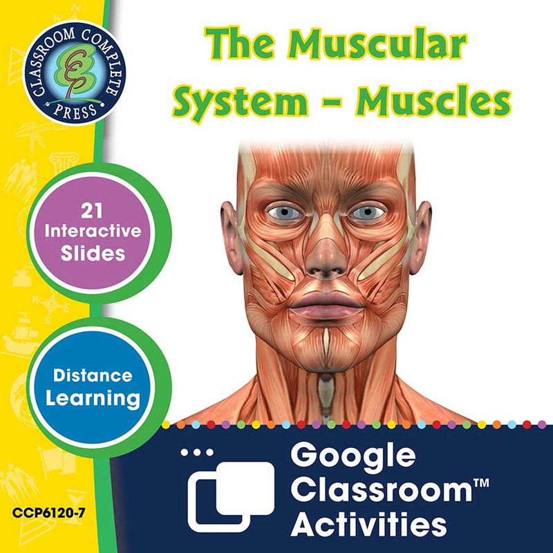 Cells, Skeletal & Muscular Systems: The Muscular System – Muscles - Google Slides