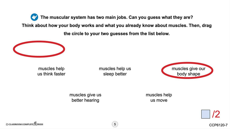 Cells, Skeletal & Muscular Systems: The Muscular System – Muscles - Google Slides