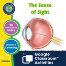 Senses, Nervous & Respiratory Systems: The Sense of Sight - Google Slides