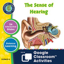 Senses, Nervous & Respiratory Systems: The Sense of Hearing - Google Slides