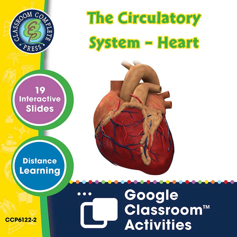 Circulatory, Digestive & Reproductive Systems: The Circulatory System – Heart - Google Slides