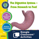 Circulatory, Digestive & Reproductive Systems: The Digestive System – From Stomach to Fuel - Google Slides