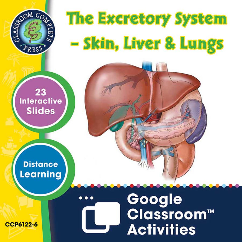 Circulatory, Digestive & Reproductive Systems: The Excretory System – Skin, Liver & Lungs - Google Slides