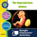 Circulatory, Digestive & Reproductive Systems: The Reproductive System - Google Slides