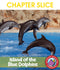 Island of the Blue Dolphins (Novel Study) - CHAPTER SLICE
