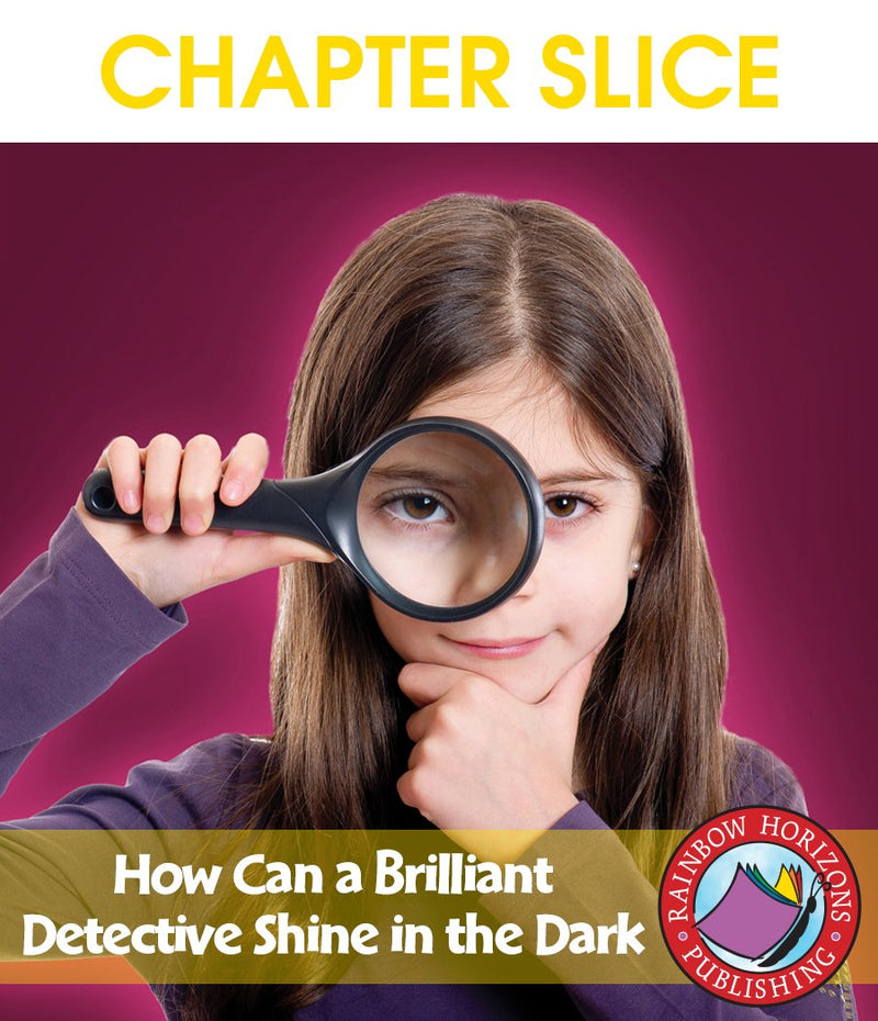 How Can a Brilliant Detective Shine in the Dark? (Novel Study) - CHAPTER SLICE