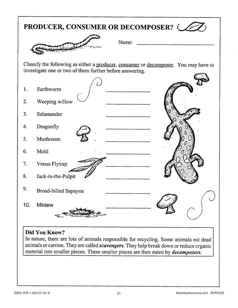 Habitats Communities Producer Consumer Or Decomposer WORKSHEET habitats-communities-producer-consumer-or-decomposer-worksheet