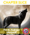 The St. Andrews Werewolf (Novel Study) - CHAPTER SLICE