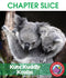 Kute Kuddly Koalas - CHAPTER SLICE