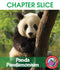 Panda Pandamonium - CHAPTER SLICE