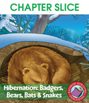 Hibernation: Badgers, Bears, Bats & Snakes - CHAPTER SLICE