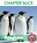 Penguins - CHAPTER SLICE