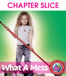 What A Mess - CHAPTER SLICE