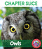 Owls - CHAPTER SLICE