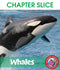 Whales - CHAPTER SLICE