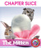 The Mitten (Novel Study) - CHAPTER SLICE
